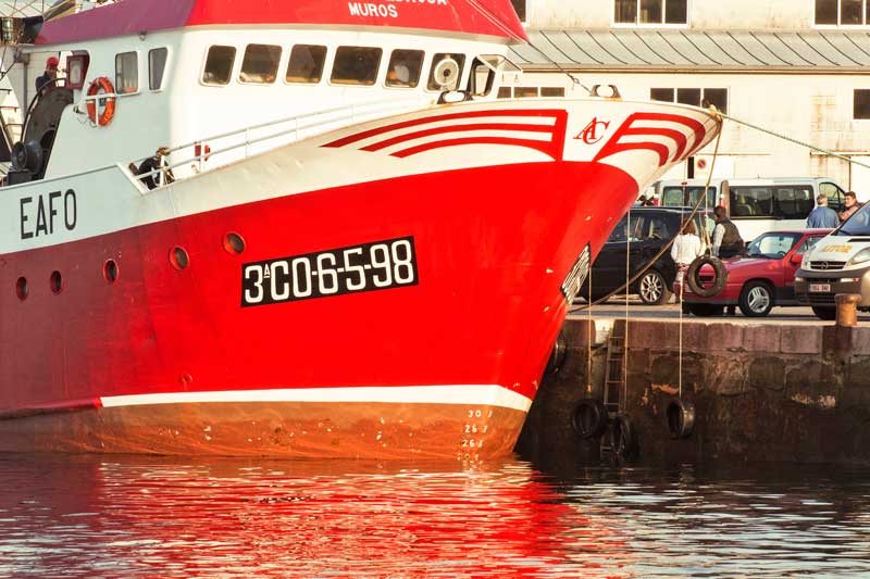 ...with its wharves and its dock fish market