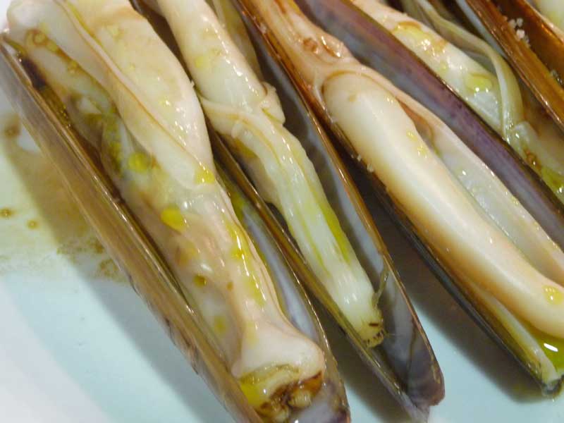 Razor clam