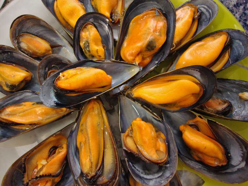 Mussels