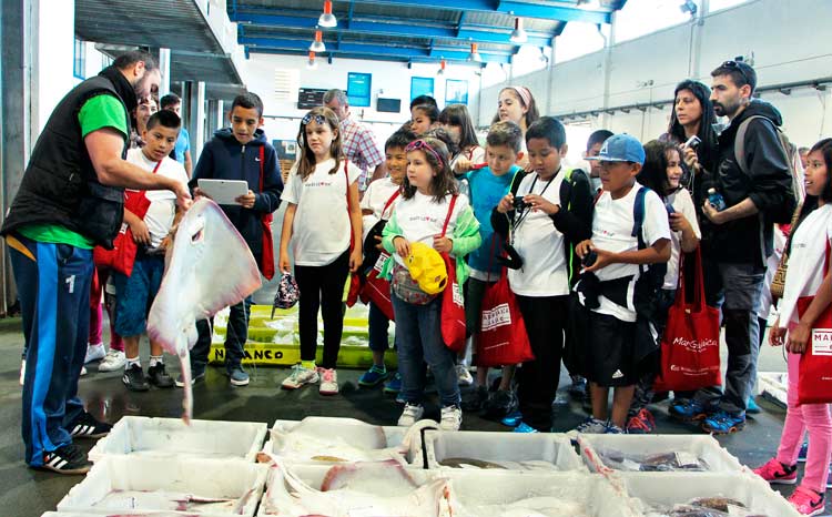 Dock fish market